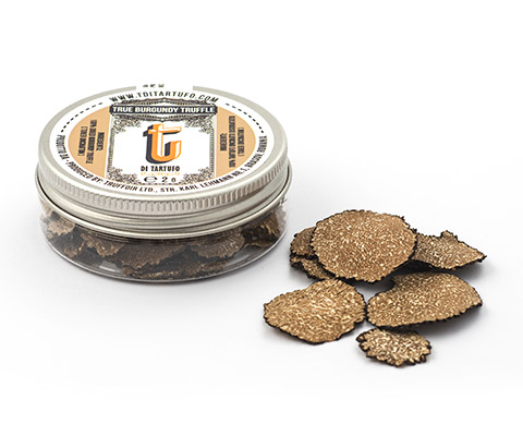 True BURGUNDY Truffle